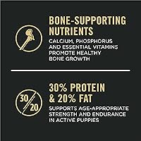 Vista 3 de Purina Pro Plan Sport Development 30/20 Fórmula de pollo y arroz, alimento para perros con alto contenido de proteínas para cachorros, bolsa de 24