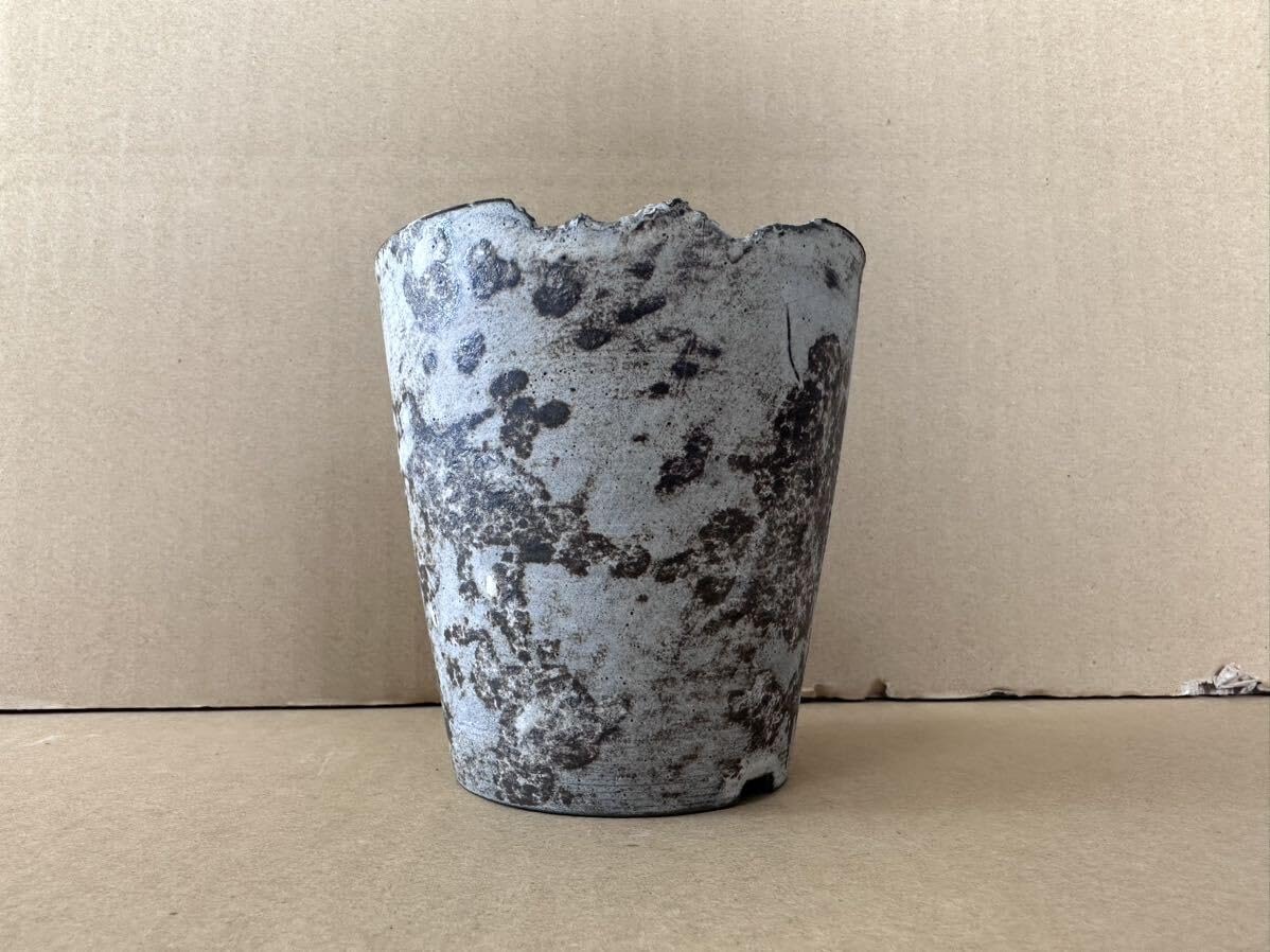 Amazon.co.jp: たけろうポット 白サビ検索細川政己 invisibleink  