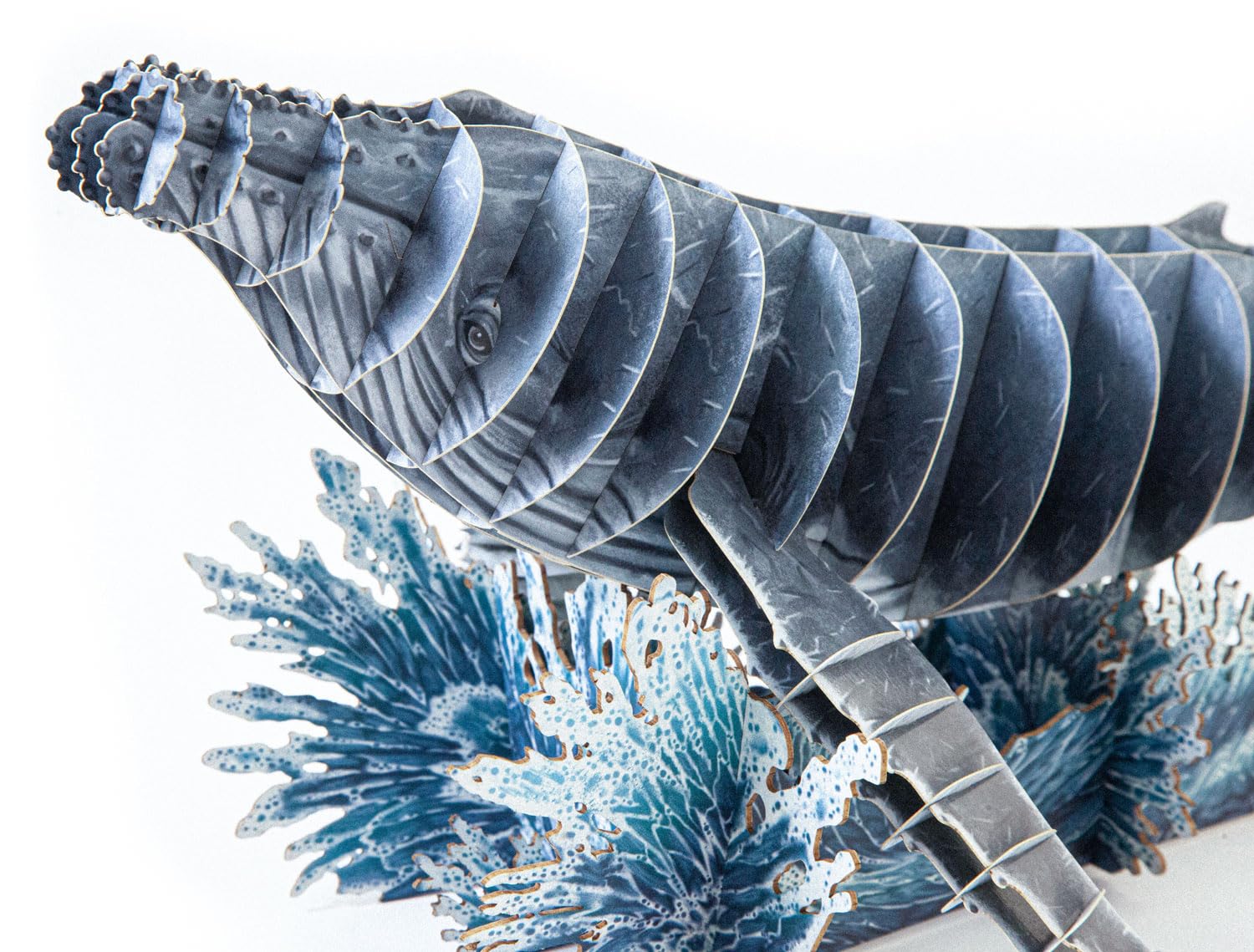 Gespänsterwald® Steckfigur, 3D Modellbau Bastelset, Tierfigur zum Basteln & Aufstellen mit Anleitung | Tiere aus Karton & Holzpappe | für Kinder ab 10 Jahre (Buckelwal)