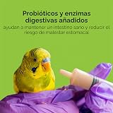 Ver la foto 5