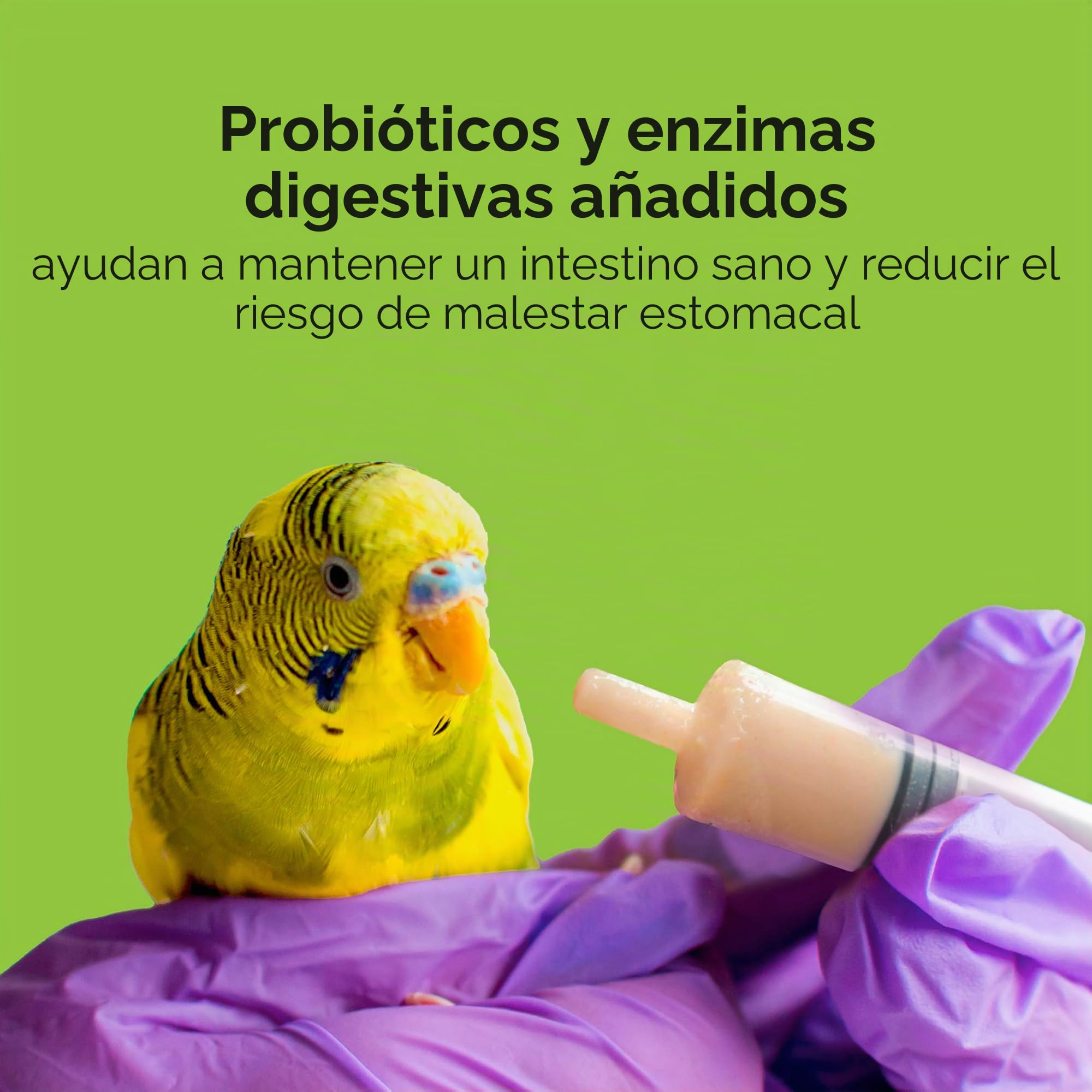 Kaytee Alimentación Manual exacta para pájaros bebés, 18 onzas