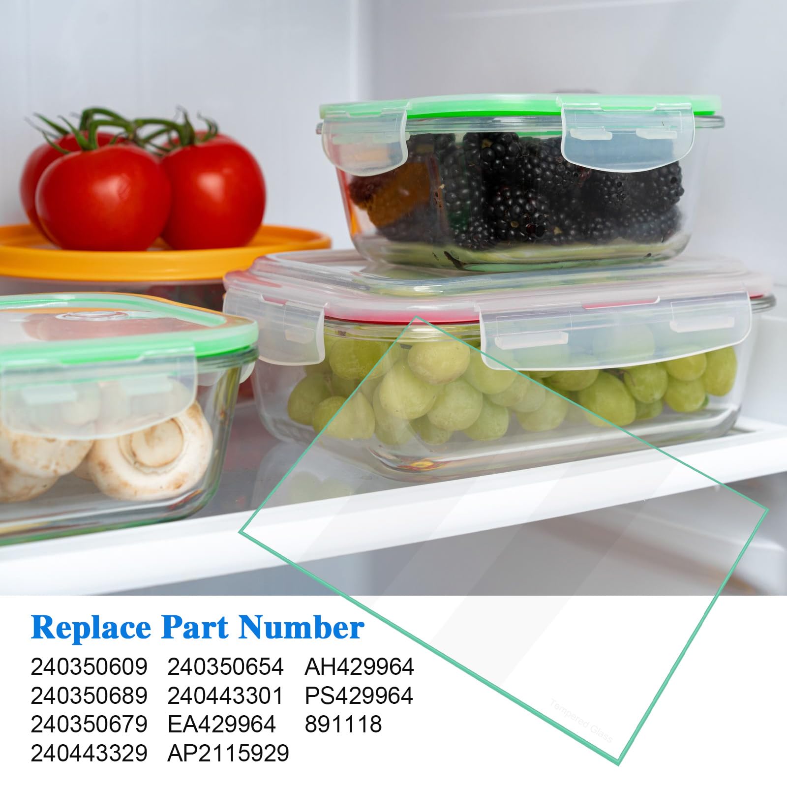 Amazon.com: 240350609 Refrigerator Glass Shelf replacement Crisper
