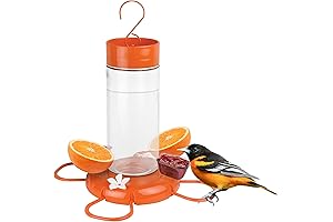 Nature's Way Hanging Glass Oriole Feeder for Outdoor Décor