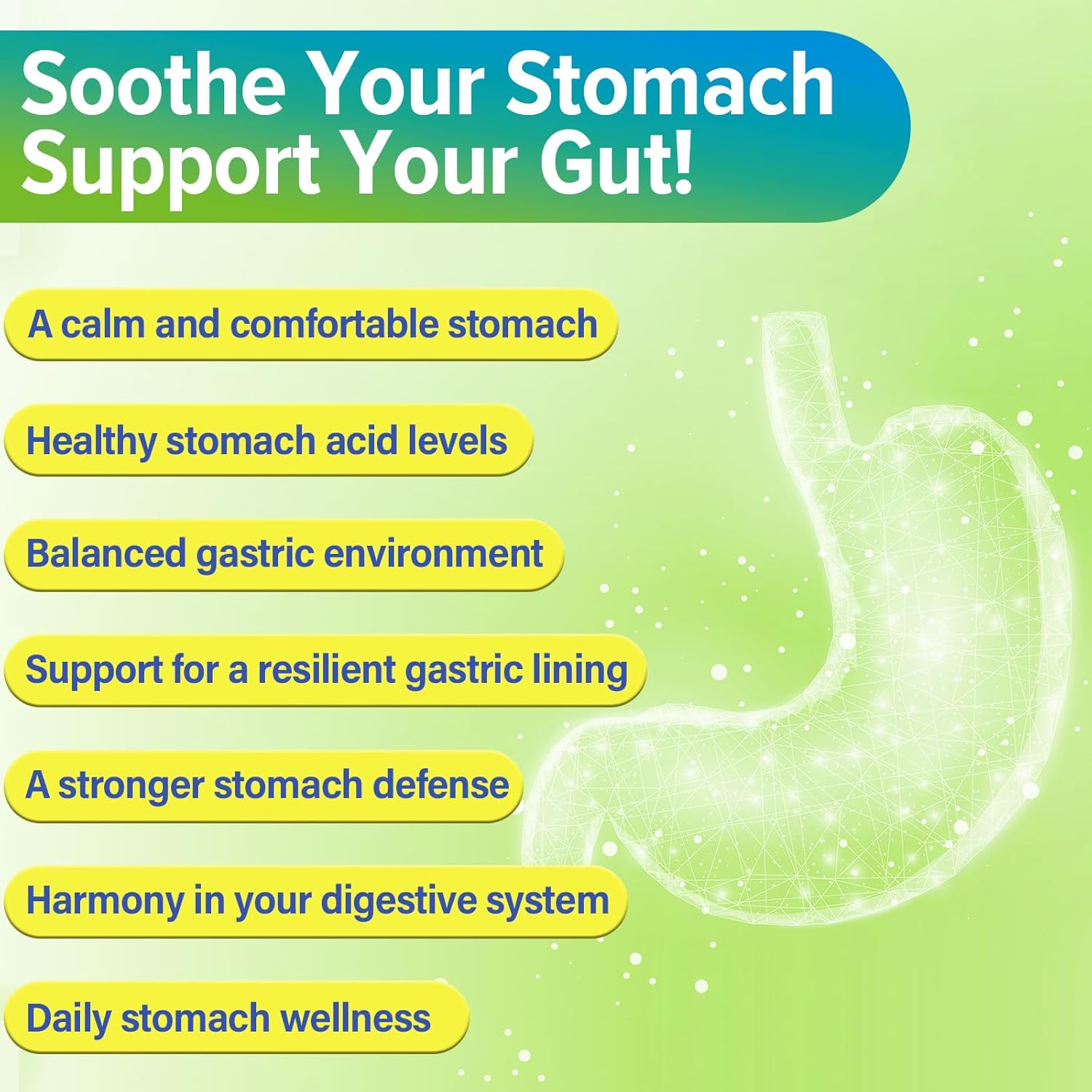 H. Pylori Defense Probiotics 100 Billion CFU - Lactobacillus Reuteri, Mastic Gum, Berberine, Zinc Carnosine, Green Tea, for Digestive & Gut Health, Stomach Comfort, Vegan, 120 Capsules - Image 3