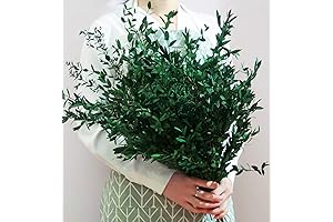 Exquisite Preserved Eucalyptus Stems: Transform Your Decor with Nature's Touch