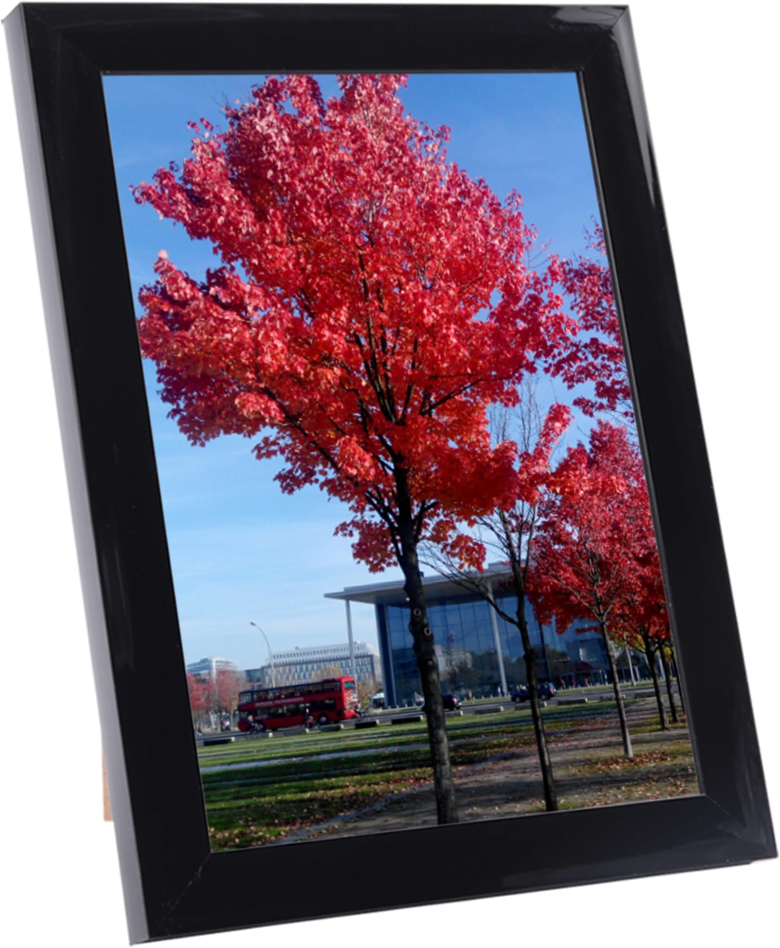 Medog 5x7 inch Picture Frame Black, Display Pictures 5x7 Document Certificate Frame, Wall Hanging Photo Frame, 1 Pack