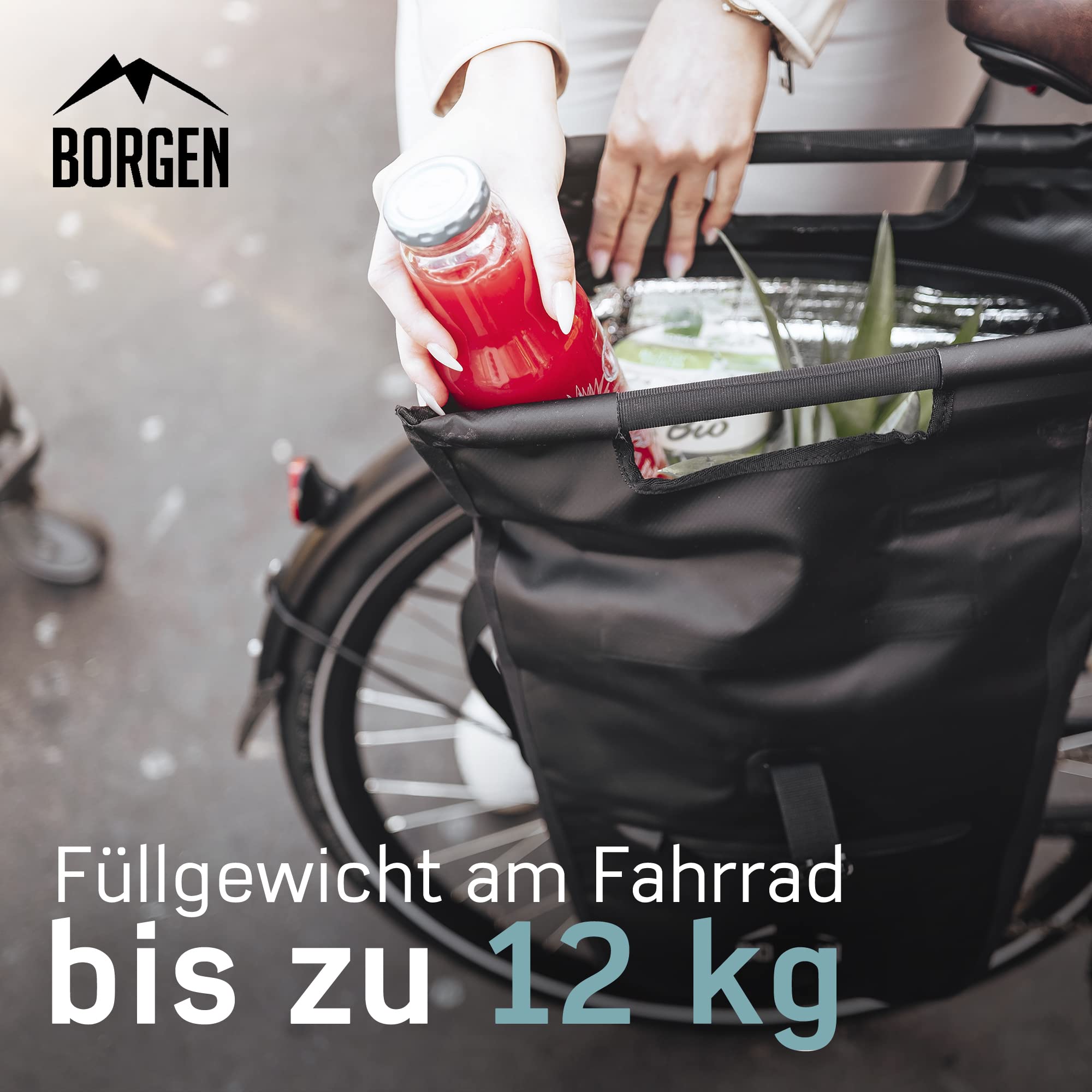 Borgen Fahrrad Einkaufstasche für Gepäckträger mit herausnehmbaren Kühleinsatz - Verwendbar als Gepäckträgertasche, Fahrradtasche, Tragetasche 23 Liter
