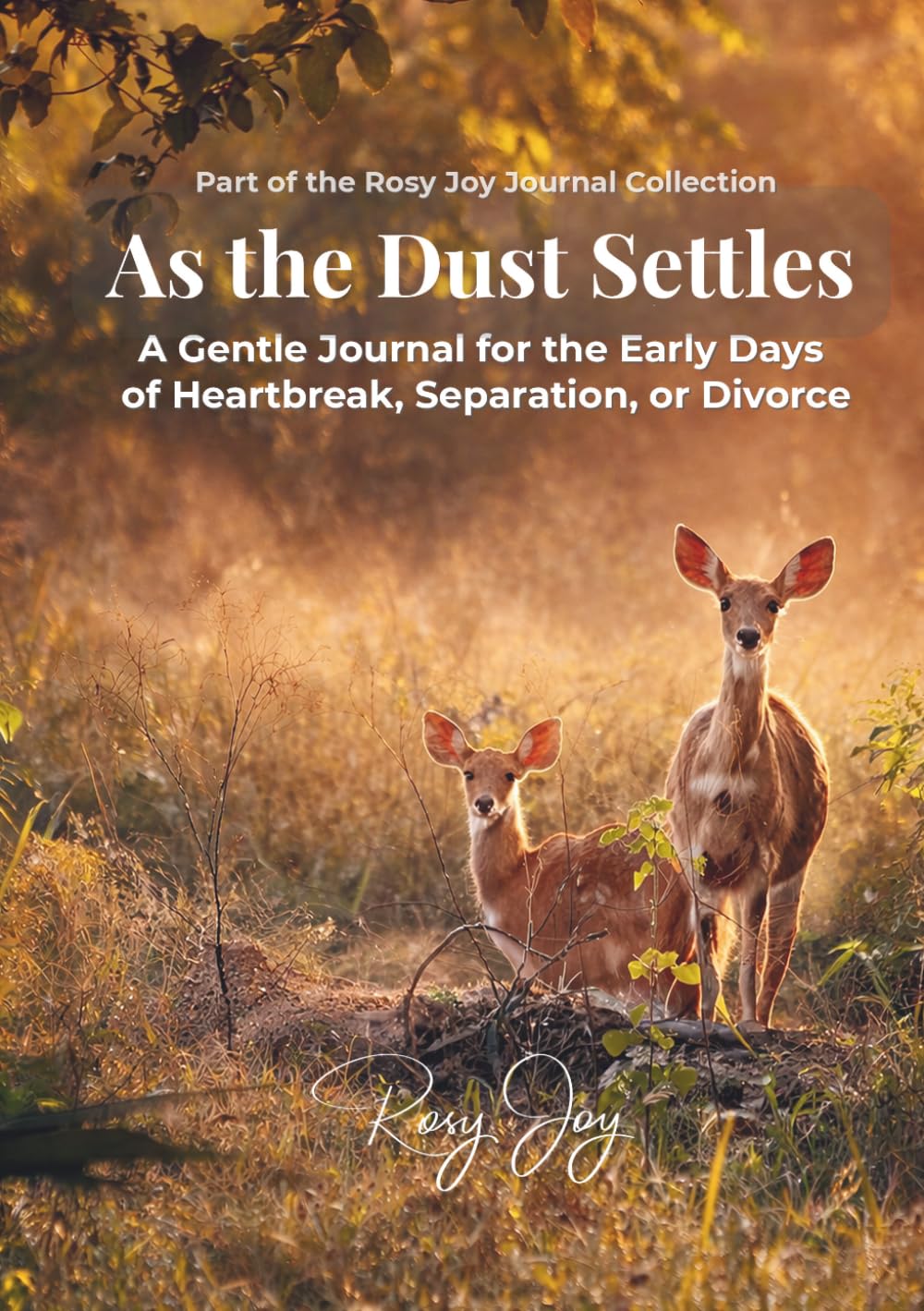 As the Dust Settles: A Gentle Journal for the Early Days of Heartbreak, Separation, or Divorce