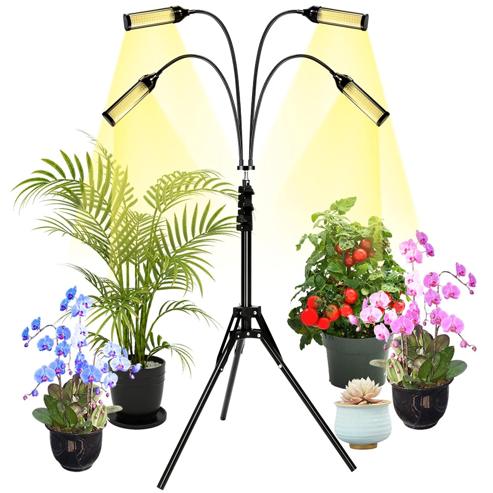 Lampe pour plante à LED de sol pour faire verdir vos plantations de salon et de serre