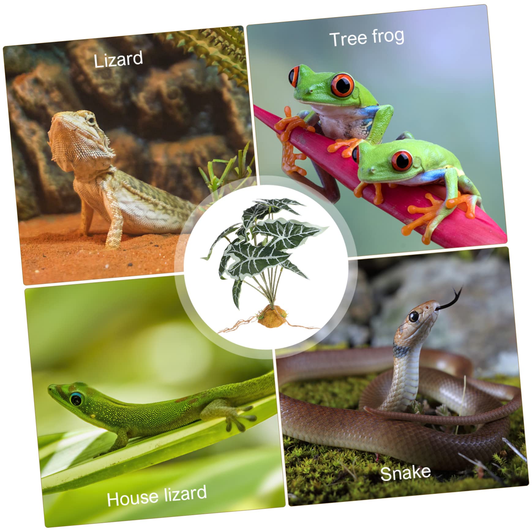 DOITOOL 4 Piezas Plantas de imitación Decoraciones de Peces para Tanque Accesorios para acuarios de Reptiles Plantas Artificiales Accesorios para peceras Plantas de vivero