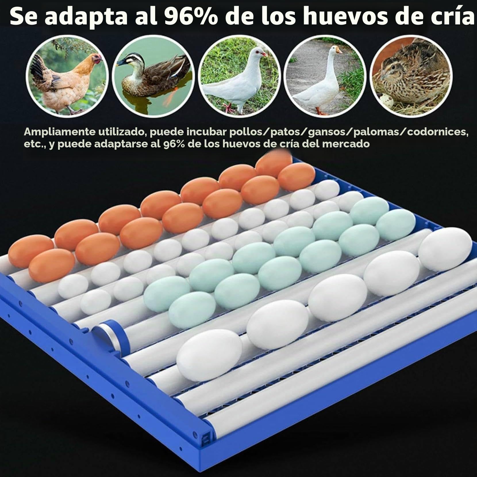 Incubadora De 136/204/372/340 Huevos con Volteador AutomáTico Y AdicióN AutomáTica De Agua, Control De Humedad Y Temperatura, FuncióN WiFi, Osciloscopio Integrado, para Aves De Corral 136Eggs