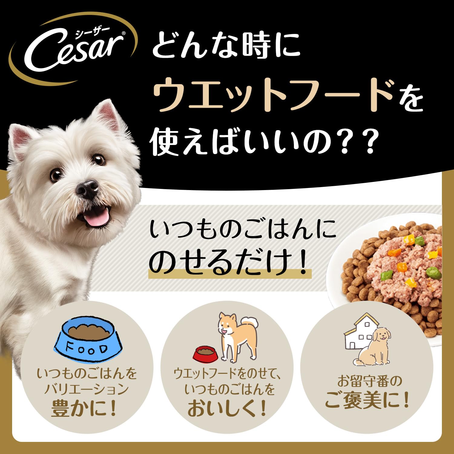 Amazon | シーザー パウチ 成犬用 70g×160袋 ジューシー厳選ビーフ