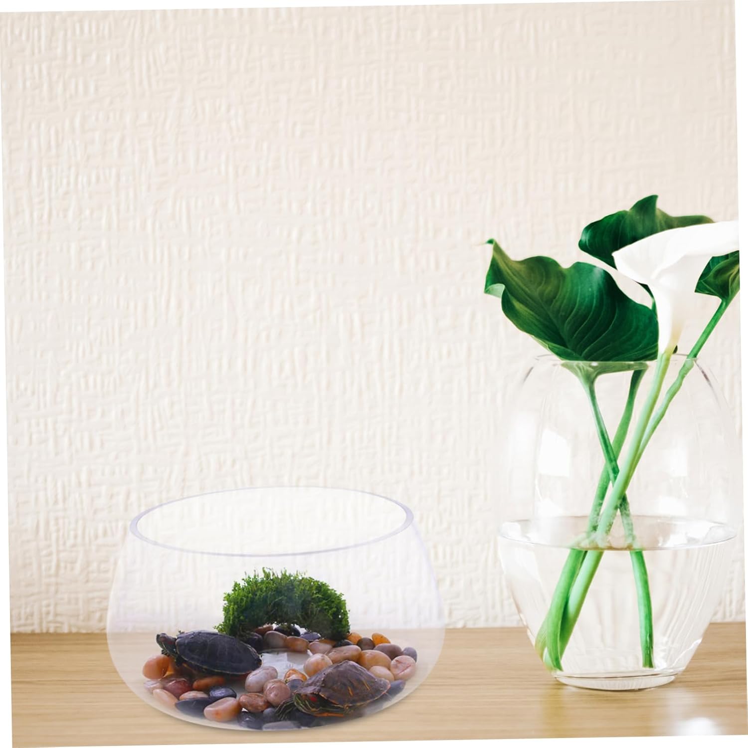 ORFOFE Clear Glass Turtle Tank Thickened Round Aquarium for Decorative Plants Home Office and Dorm Use Versatile Fish Bowl for Beautiful Home Decor