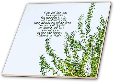 Amazon 3drose Alexis Design 名言 レオナルド ダ ヴィンチ 自分の経験から見つけたら ダ ヴィンチの格言 ポプラ ツリー タイル 6 Inch Ceramic Ct 2 インテリア オンライン通販 Amazon 3drose Alexis Design 名言 レオナルド ダ ヴィンチ 自分の経験から見つけたら ダ ヴィンチの格言 ポプラ ツリー タイル 6 Inch Ceramic Ct 2 インテリア オンライン通販