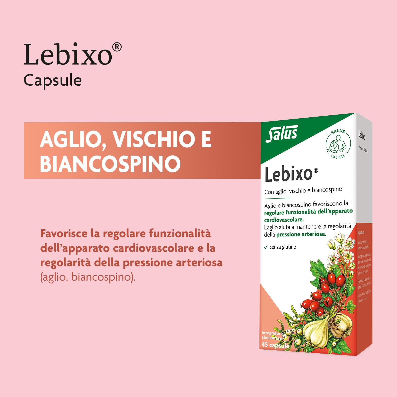 Salus Lebixo - Integratore Alimentare per la regolarità cardiovascolare e della pressione arteriosa, a base di Aglio, Vischio e Biancospino - 45 Capsule