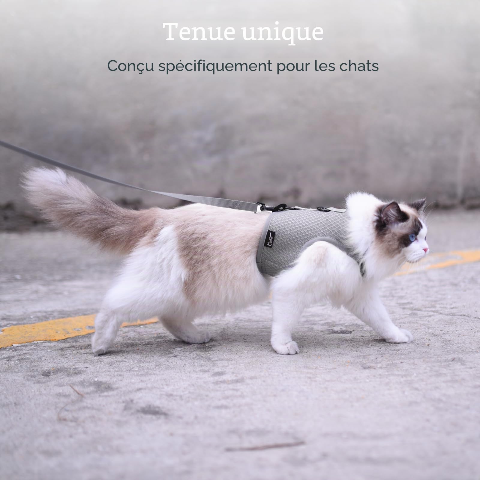 Harnais et Laisse Anti-Fugue pour Chat - Tissu en Maille Respirante - Harnais réglable, rembourré et élégant - Gris uni, Taille L