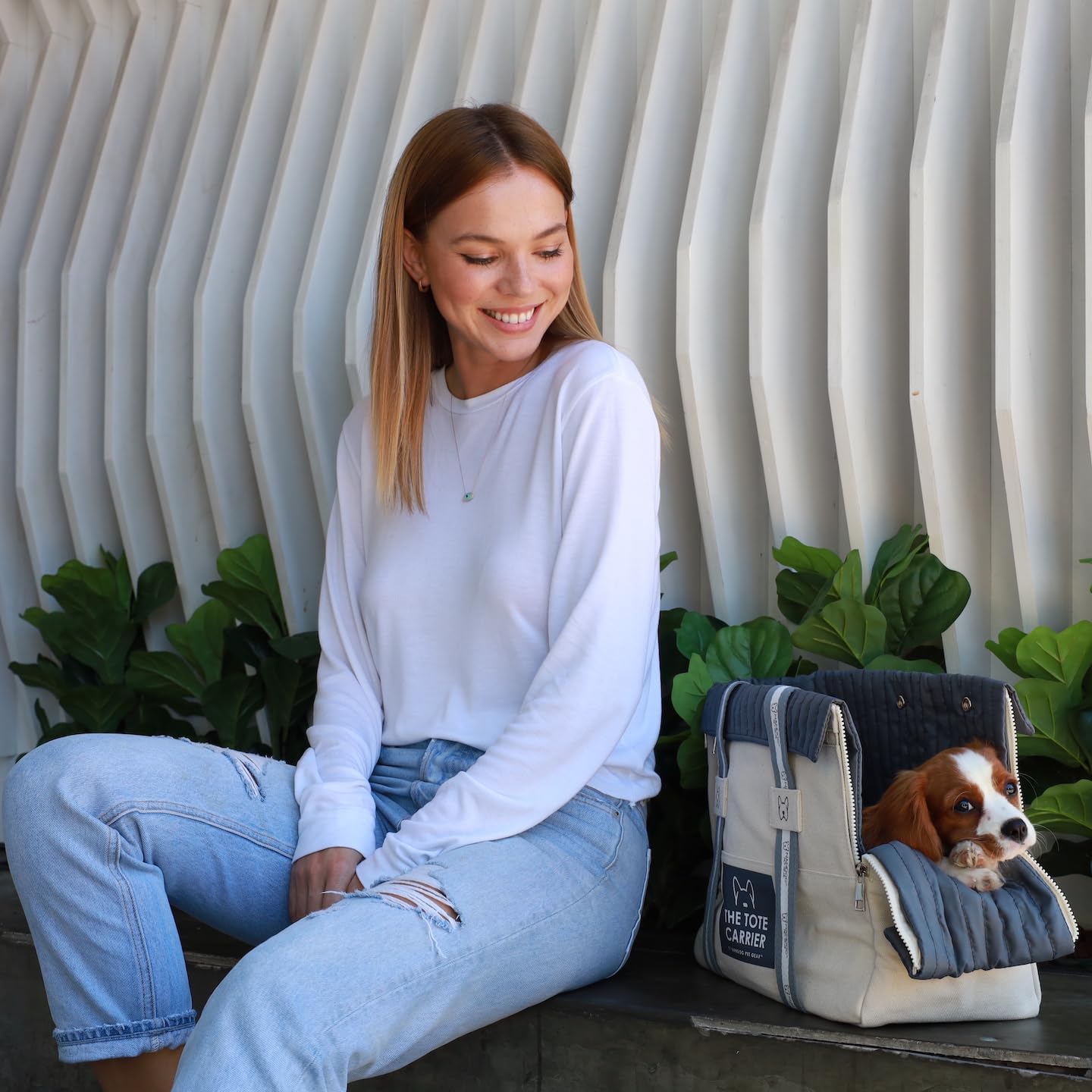NANDOG Pet Gear The Tote Pet Carrier for Dogs & Cats