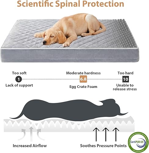 Miniatura 3 de WNPETHOME Camas ortopédicas para perros medianos, cama impermeable extragrande para perros con funda extraíble lavable y parte inferior