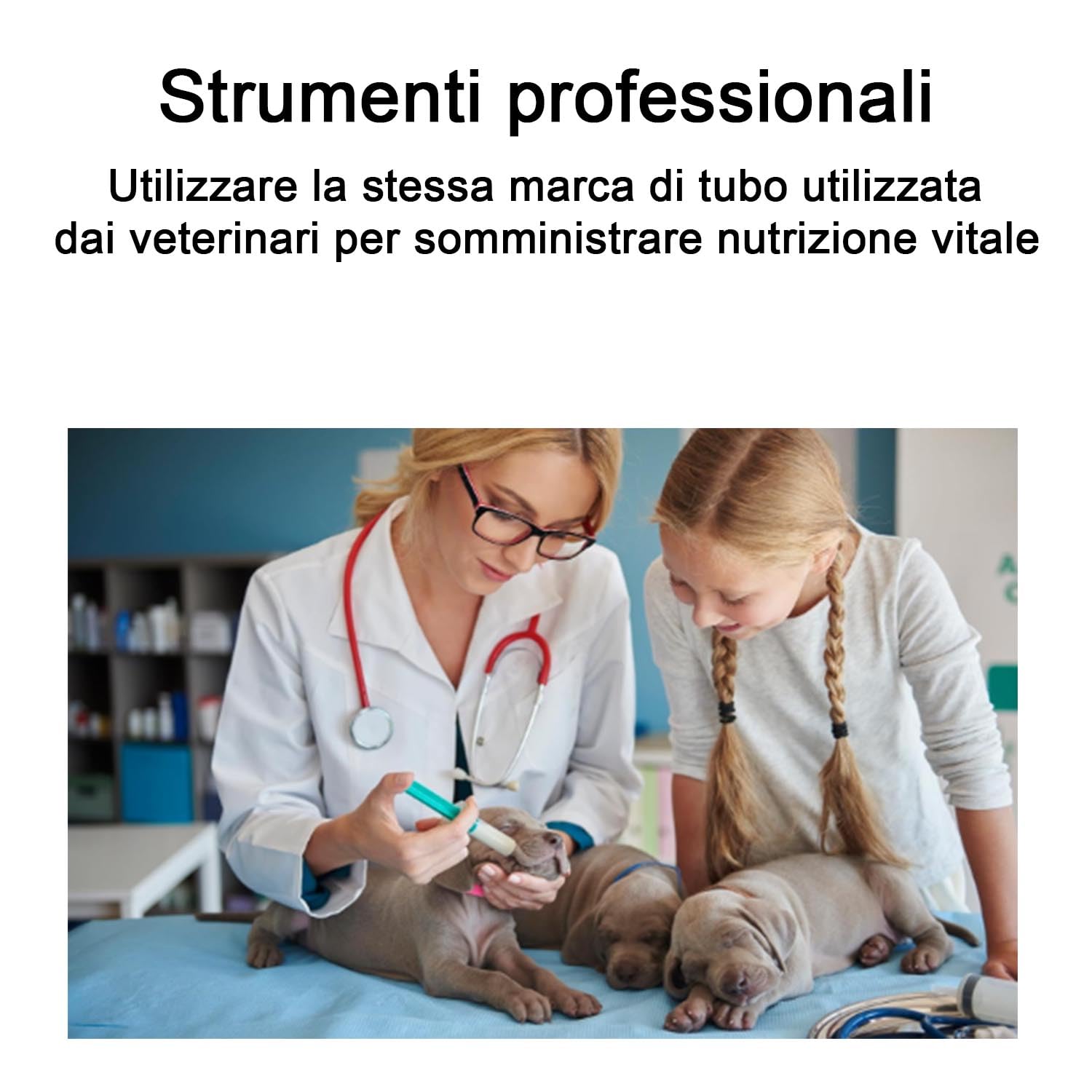 5 PEZZI Sonda Nasogastrica per Animali Domestici – Sonda per Alimentazione Nasale per Gatti e Cani, Sonda per Alimentazione Veterinaria per Supporto Nutrizionale, Resistente e Sicura.