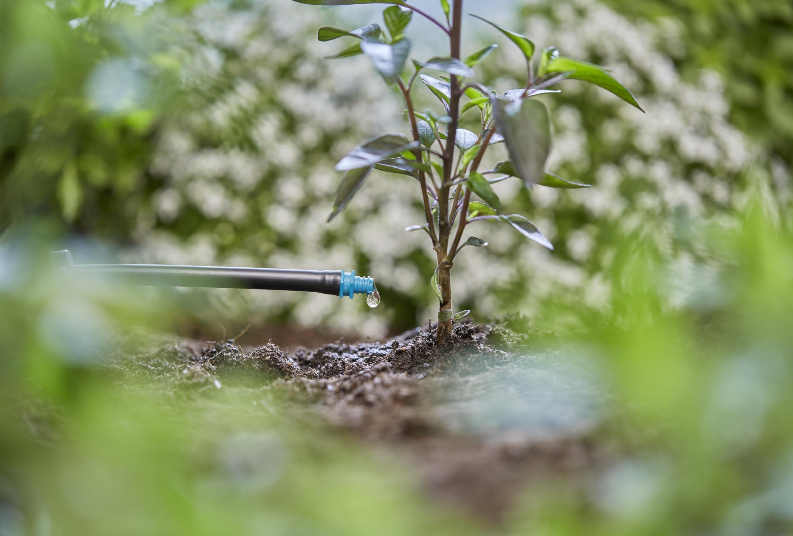Gardena system Micro-Drip, kroplownik końcowy 2 l/h: Kroplownik do automatycznego systemu nawadniania, do podlewania pojedynczych roślin doniczkowych, prosta technika połączeniowa (13307-20)