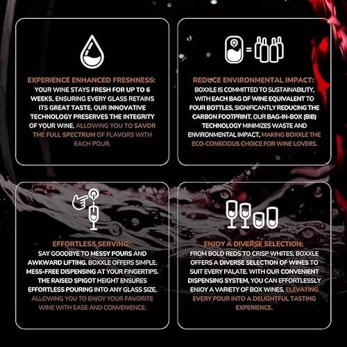 Miniatura 8 de Boxxle Dispensador de vino de acero inoxidable 3L - Elegante, eficiente, sostenible - Mantiene el vino fresco durante 6 semanas - Disfruta del vino