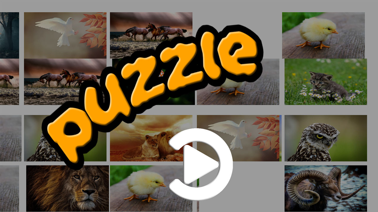 Animal puzzle App on Amazon Appstore