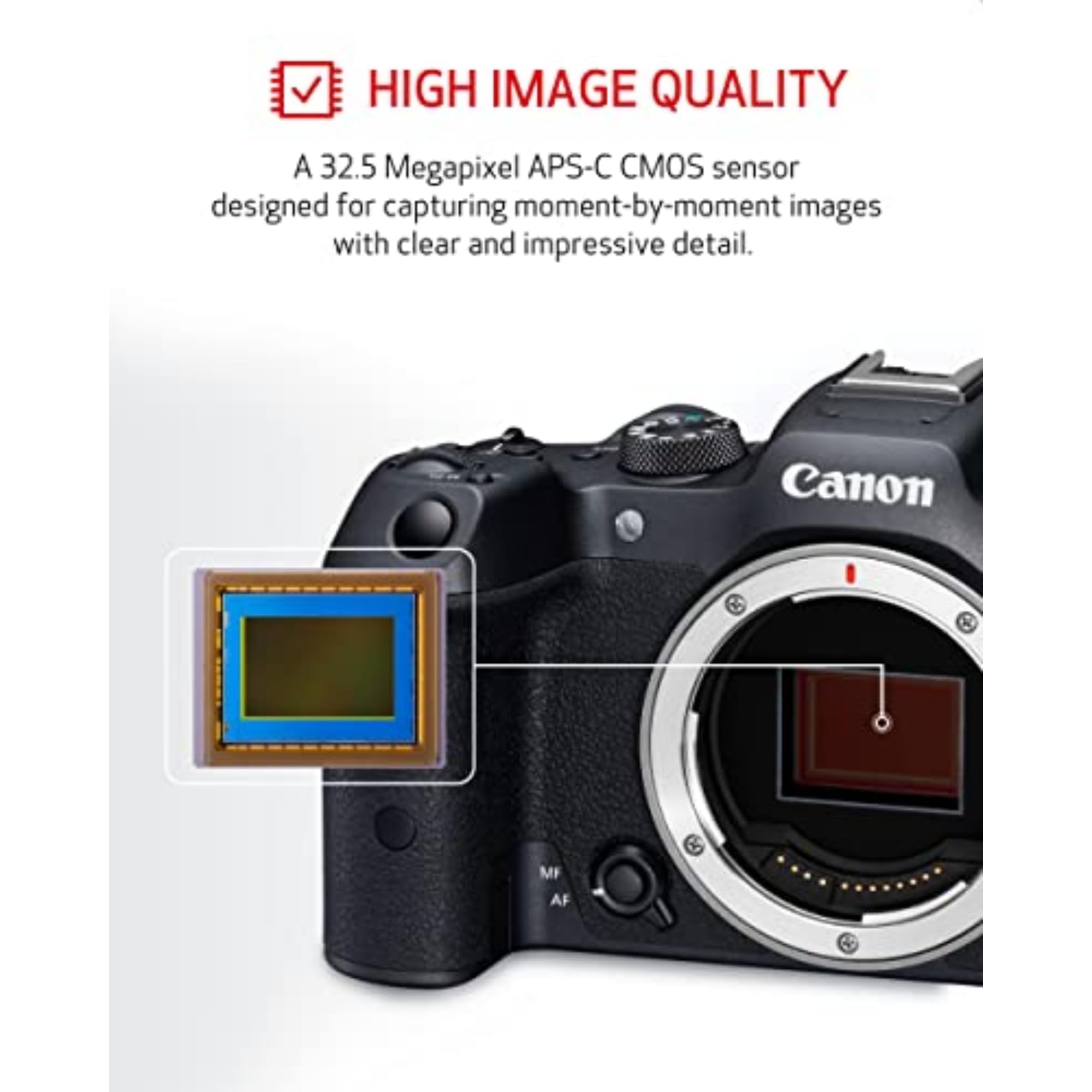 Amazon | Canon ミラーレス一眼カメラ EOS R7 ボディ 64GBメモリー