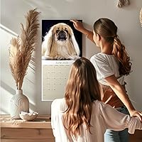 Vista 79 de Razas de Perros 2017