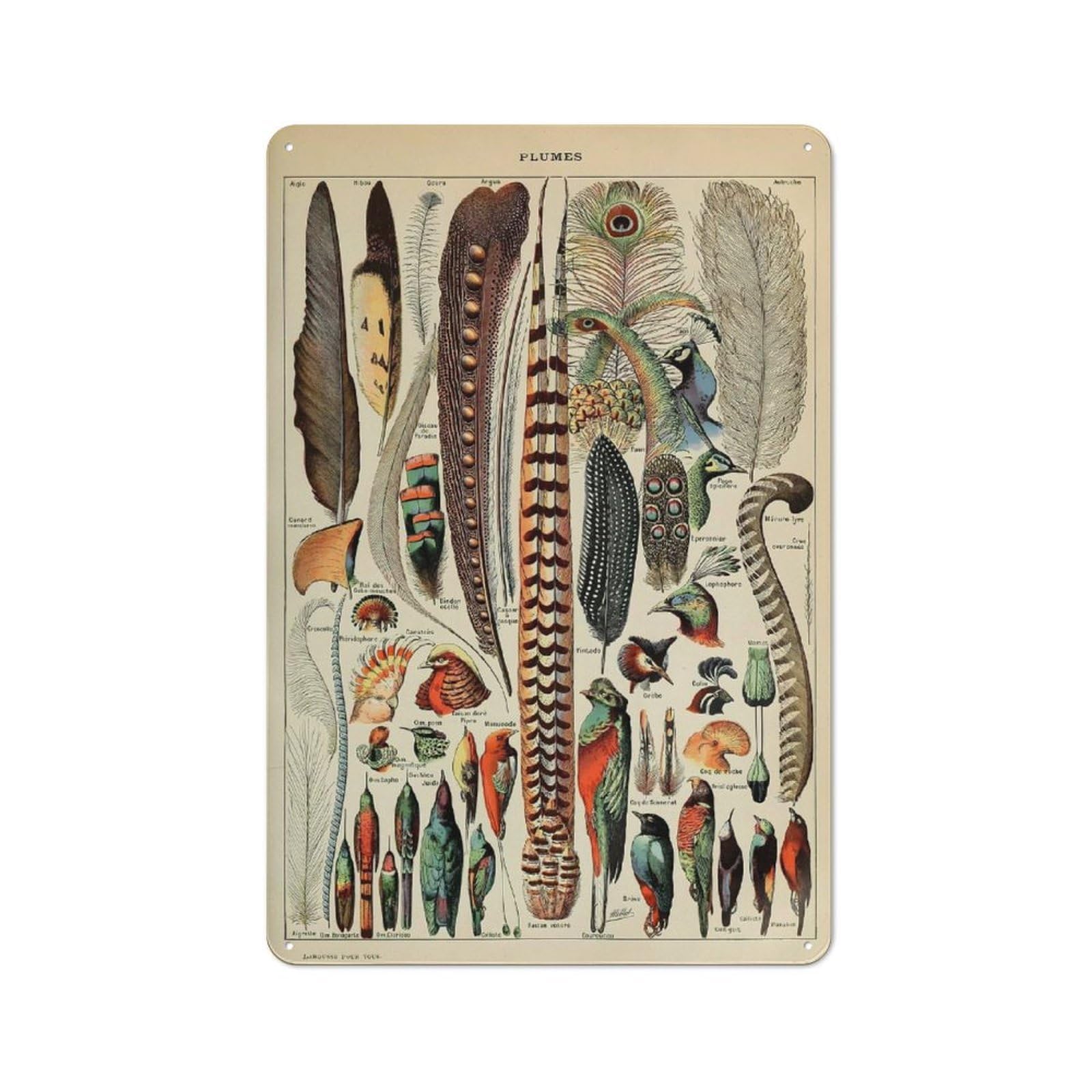 Junmoney Style-20 Tin Wall Plaque 30X20cm With Vintage Feathers For Workshop Wall, Housewarming Wall Decor For People Furnishing Workshop