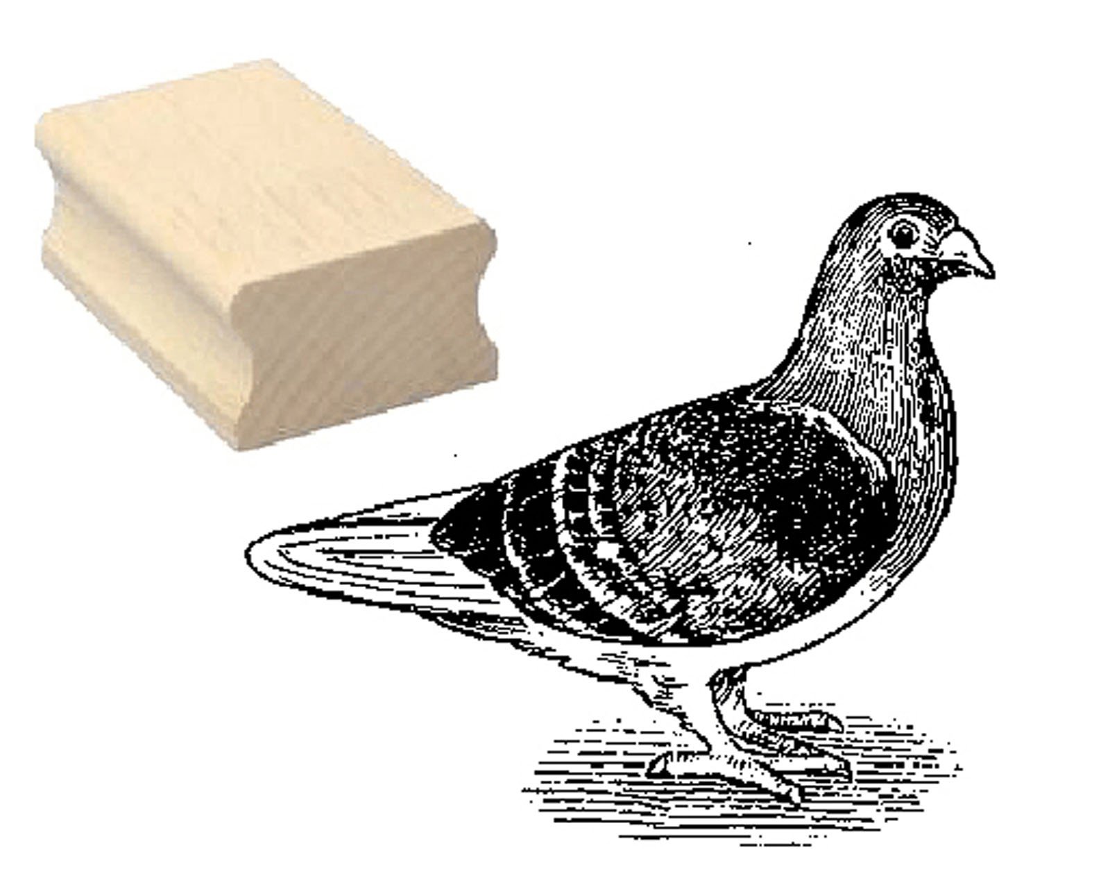 Dekolando Wooden Stamp Motif Stamp "City Pigeon" Scrapbooking Embossing Children's Stamp Animal Stamp Zoo Animal Park Pigeon Breeder Pigeon