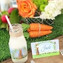 Peter Rabbit Bottle Wraps - 20 Peter Rabbit Water Bottle Labels - Peter Rabbit Decorations - Made in the USA gallery image