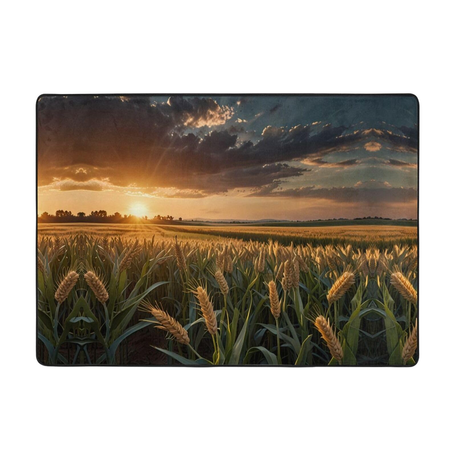 Tapis champ de blé pour table basse et balcon abrité chaleureux