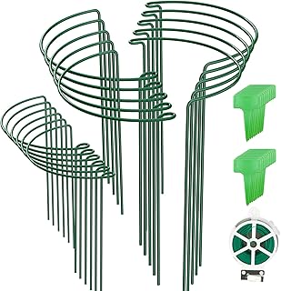 BLIKA 20 Pack Garden Plant Support Stake, 10" Wide x 15.8" High Half Round Metal Plant Stake, Plant Supports for Outdoor P...
