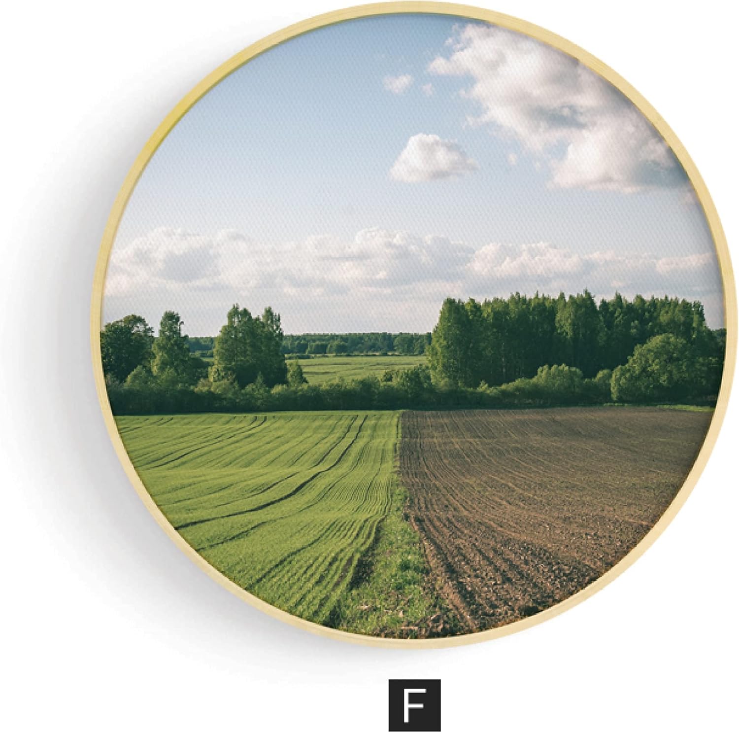 ZjBfddnmm Green Modern Minimalist Nordic Restaurant Decorative Painting Wood Round Office Wall Decoration Greenery Full Color/J /