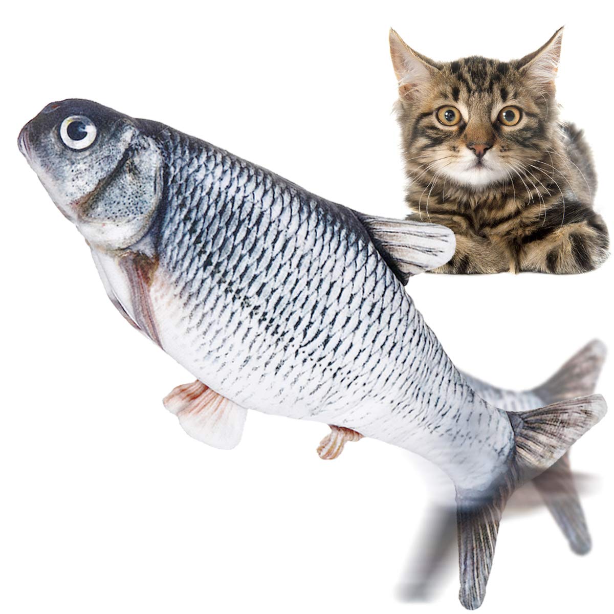 flopping fish amazon