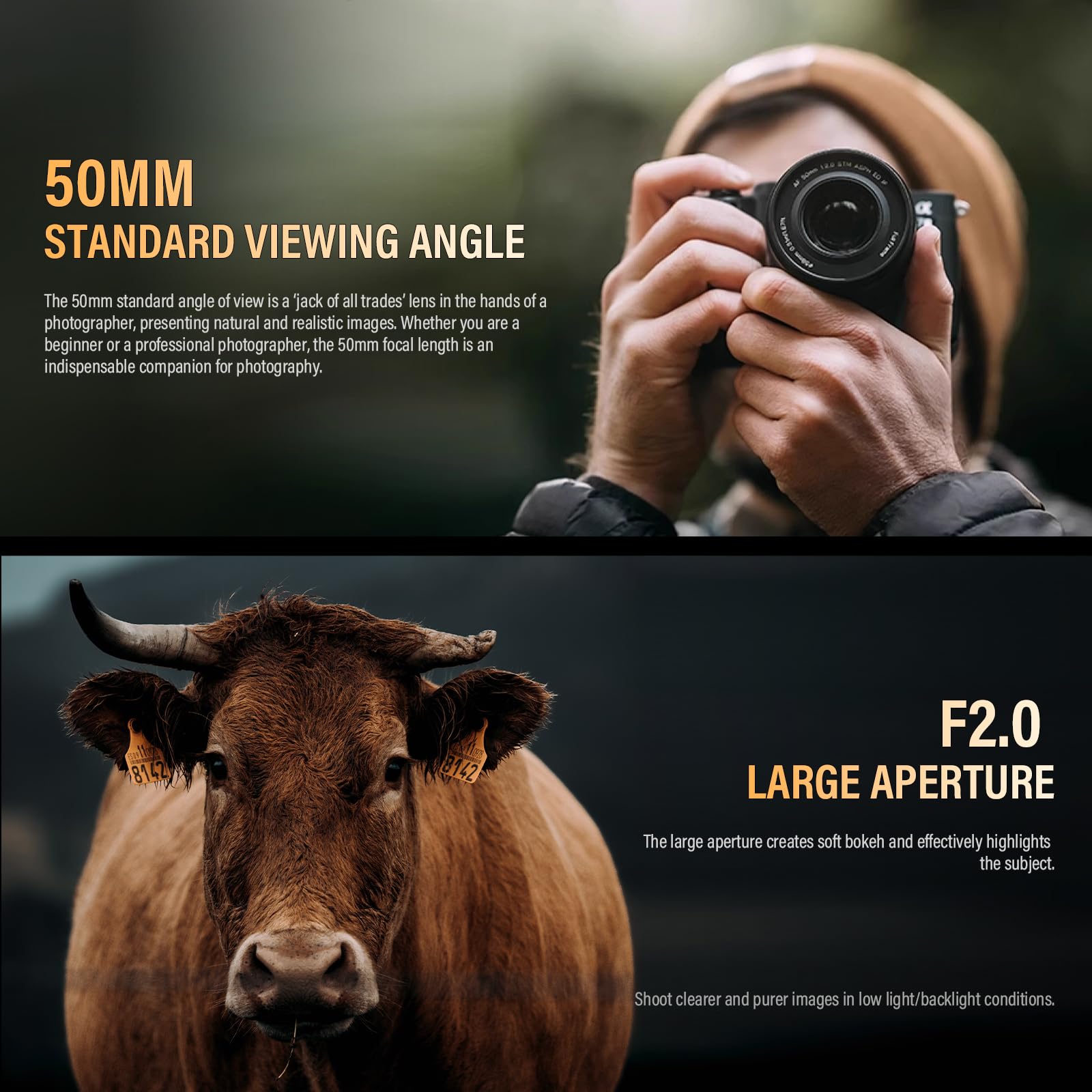 VILTROX 50mm F2.0 Plein Cadre Objectifs Autofocus STM pour Nikon Z Mount Camera Lenses Objectifs compatibles avec Nikon Z9 Z8 Z7 Z6 Z5 Z50 Z30 ZFC