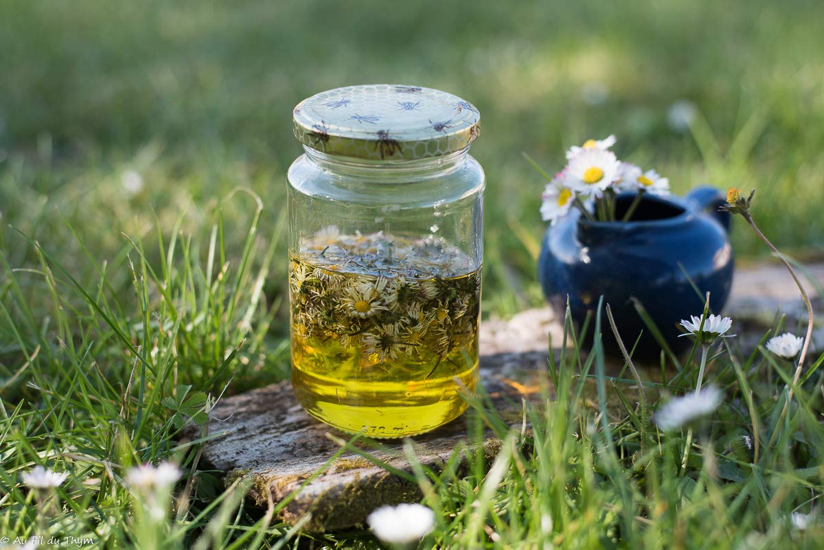 Bio Gänseblümchenöl 60 ml - in Glasflasche - Herkunft Frankreich - Frische Blumen Manelya - Daisy Oil