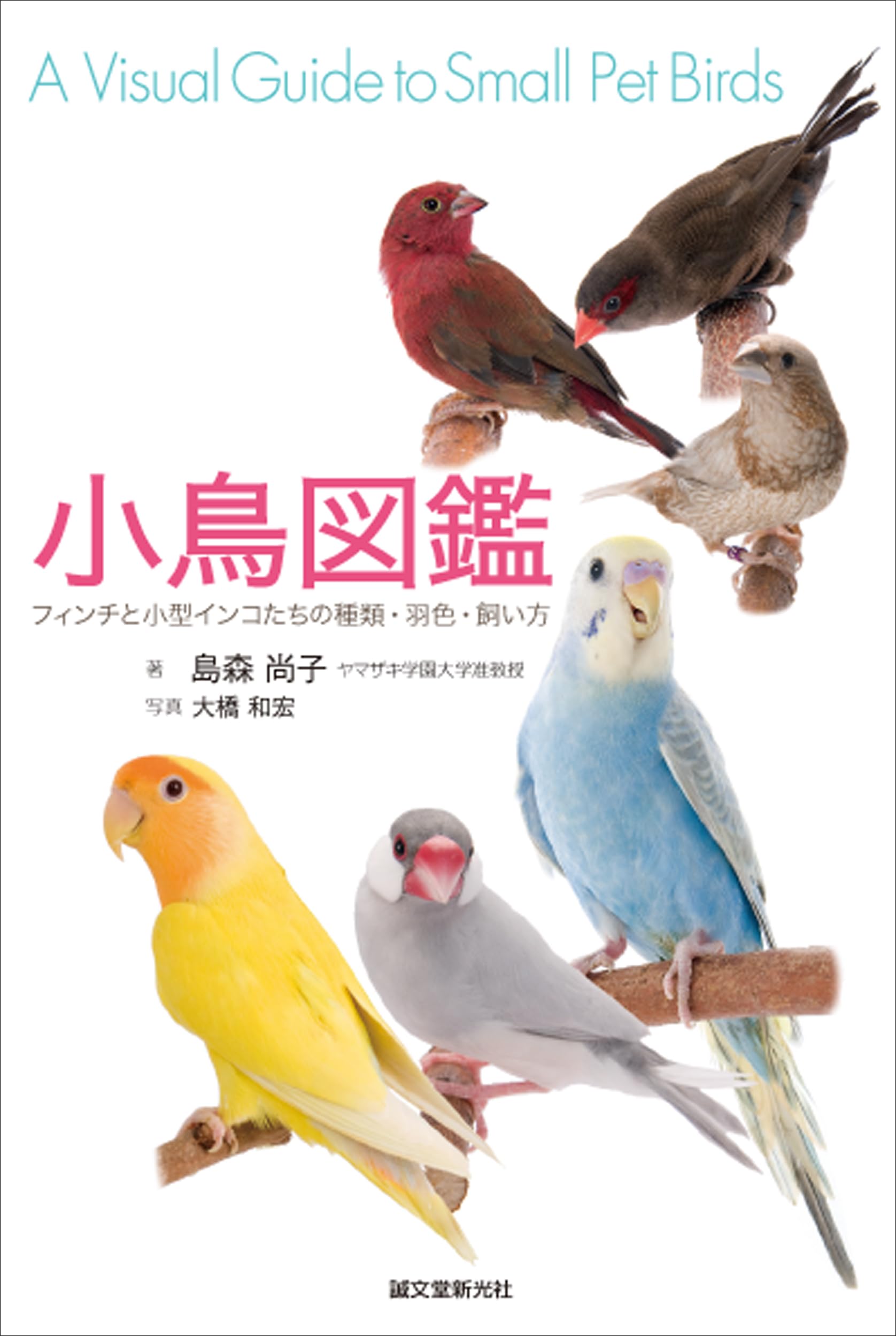 Amazon.co.jp: 小鳥図鑑: フィンチと小型インコたちの種類・羽色・飼い
