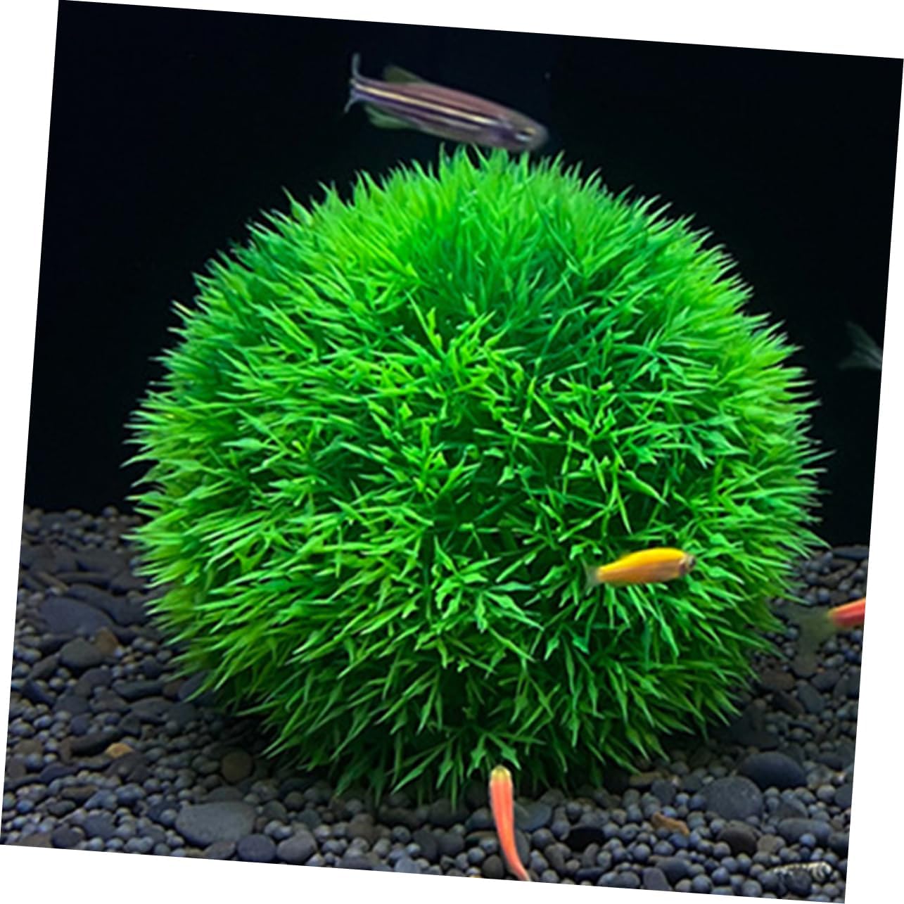 10pcs Fish Tank Decors Aquatic Plants Balls Simulated Decorative Water Plants Ornaments