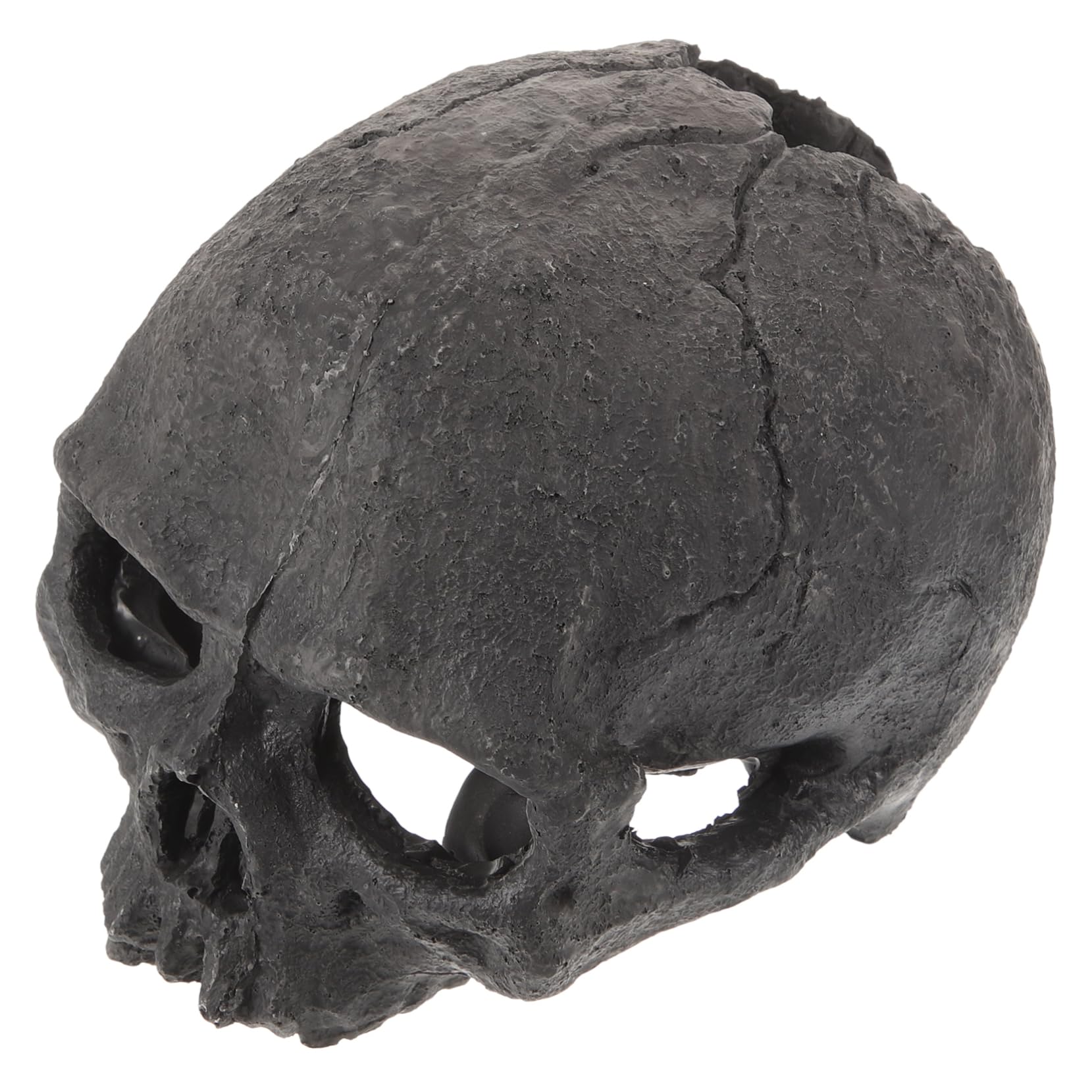 PRETYZOOM 5 Pezzi Decorazioni di Teschi di Acquari Terrarium Ornamento Dell'acquario del Cranio Rettile Scheletro Vasca Dell'acquario Decorativo Visualizzazione Impostore Black Resina