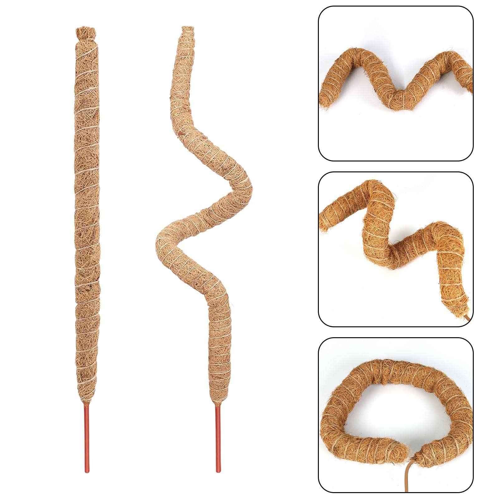 Moosstange Für Rankenpflanzen – Biegsamer Kokosstützstab, 100-120 Cm, Für Zimmerpflanzen & Garten