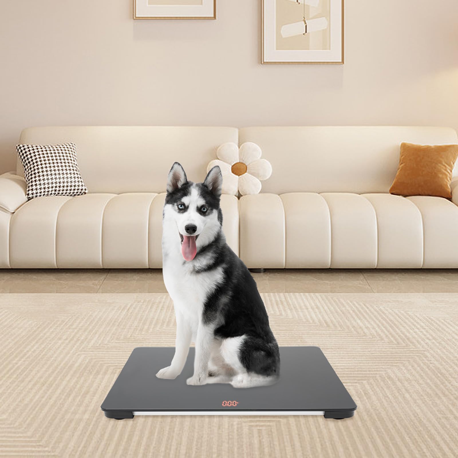 Dog Scales for Large Breed, Animal Platform Scale Digital Pet Livestock Scale 25.6