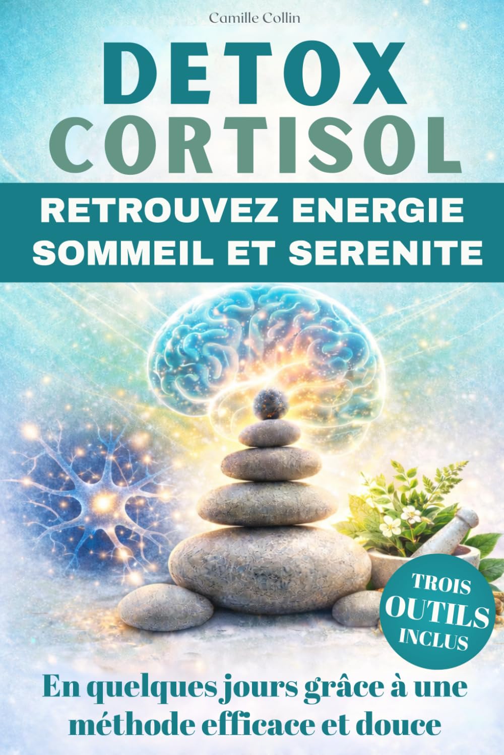 Detox Cortisol: Retrouvez énergie sommeil et sérénité - Un livre pour donner aux femmes les moyens efficaces de reprendre le contrôle du stress et donc de leur vie.