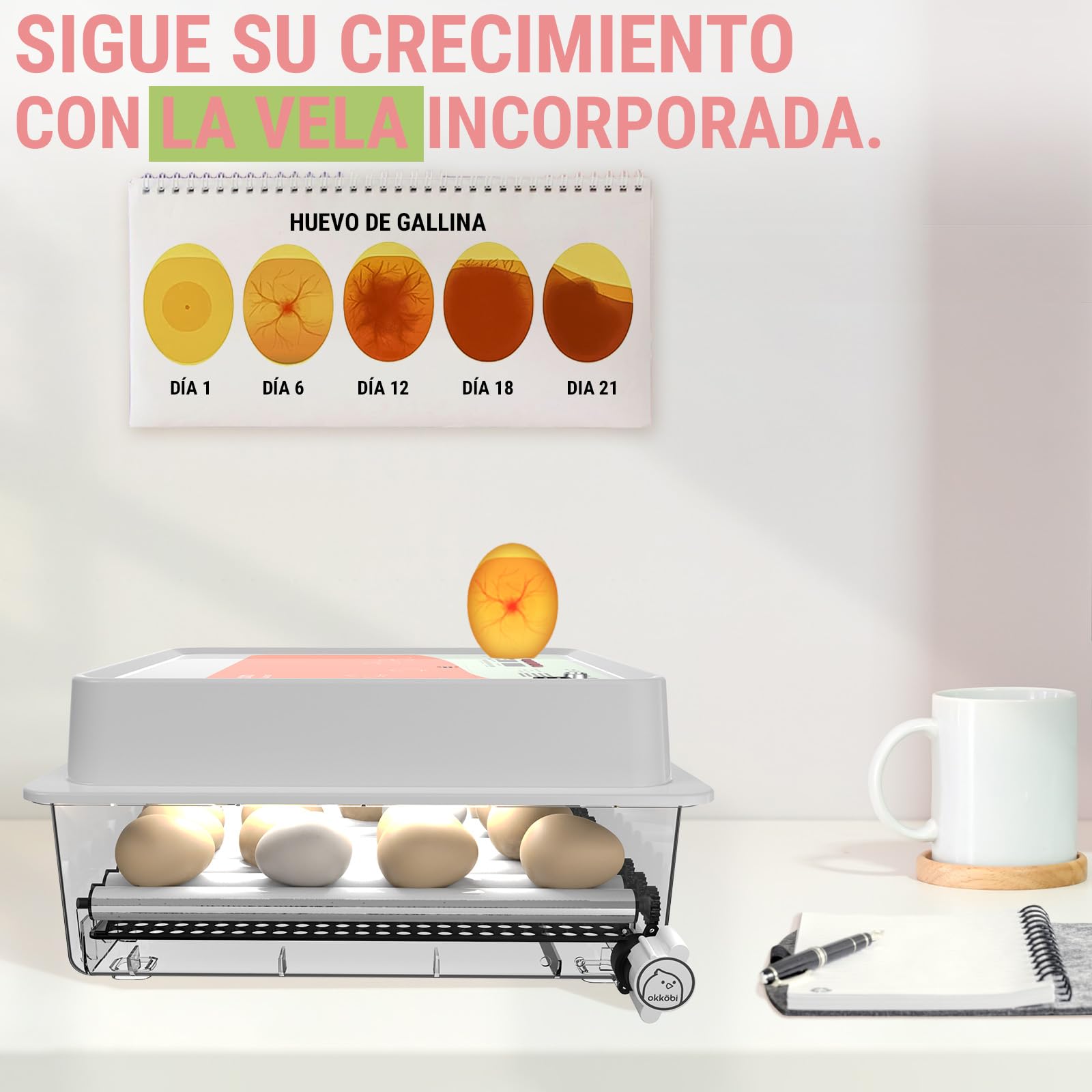 OBI-36 Incubadora Automática – Incubadora de huevos para 36 huevos con Volteo Automático - Incubadora huevos gallina, codorniz y pato - Naranja