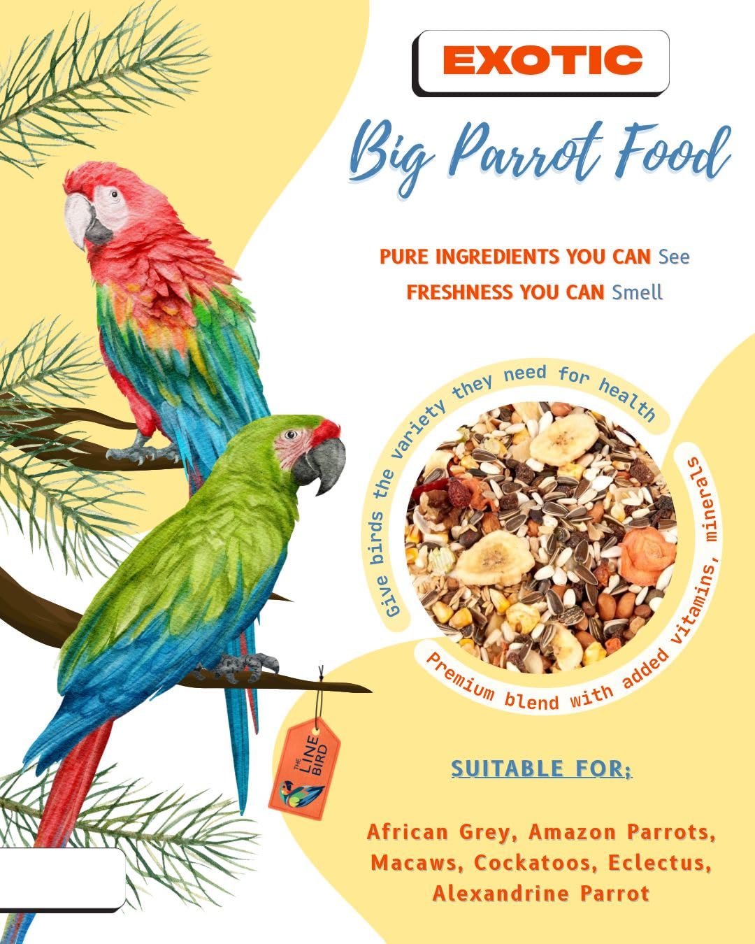 TLB Exotic Parrot Food Seed Mix – Premium (900.GM) Blend for Macaws, African Greys, Cockatoos, Alexandrine & Amazon Parrots | Dust-Free | Natural | No Preservatives.