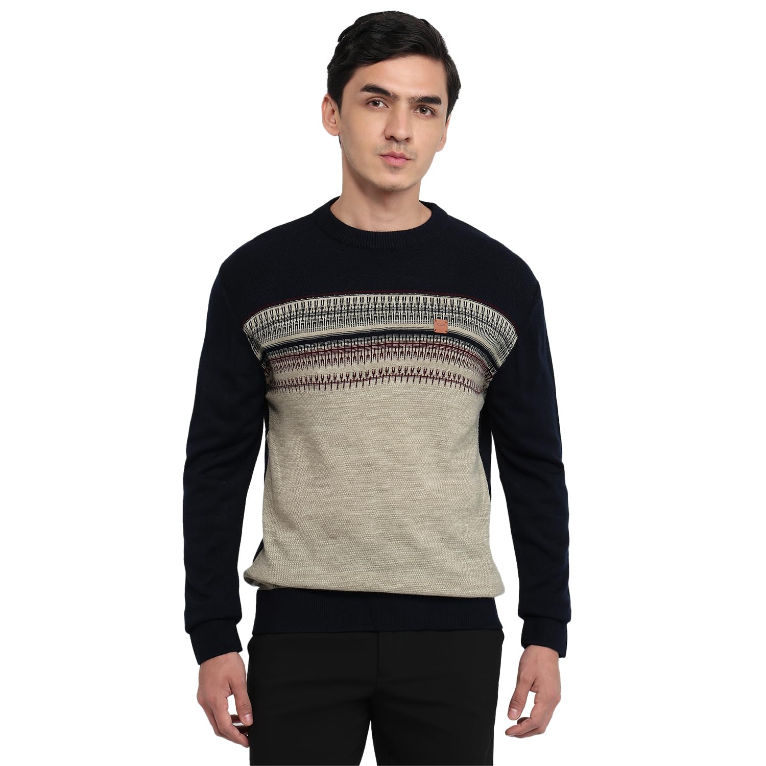 colorplus Men Regular Fit Jacquard Pattern Pure Acrylic Full Sleeve V Neck Casual Sweater Dark Blue-picture-10