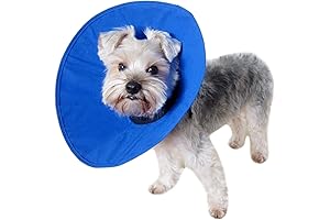Kong Ez Soft E-Collar for Canine and Feline Recovery