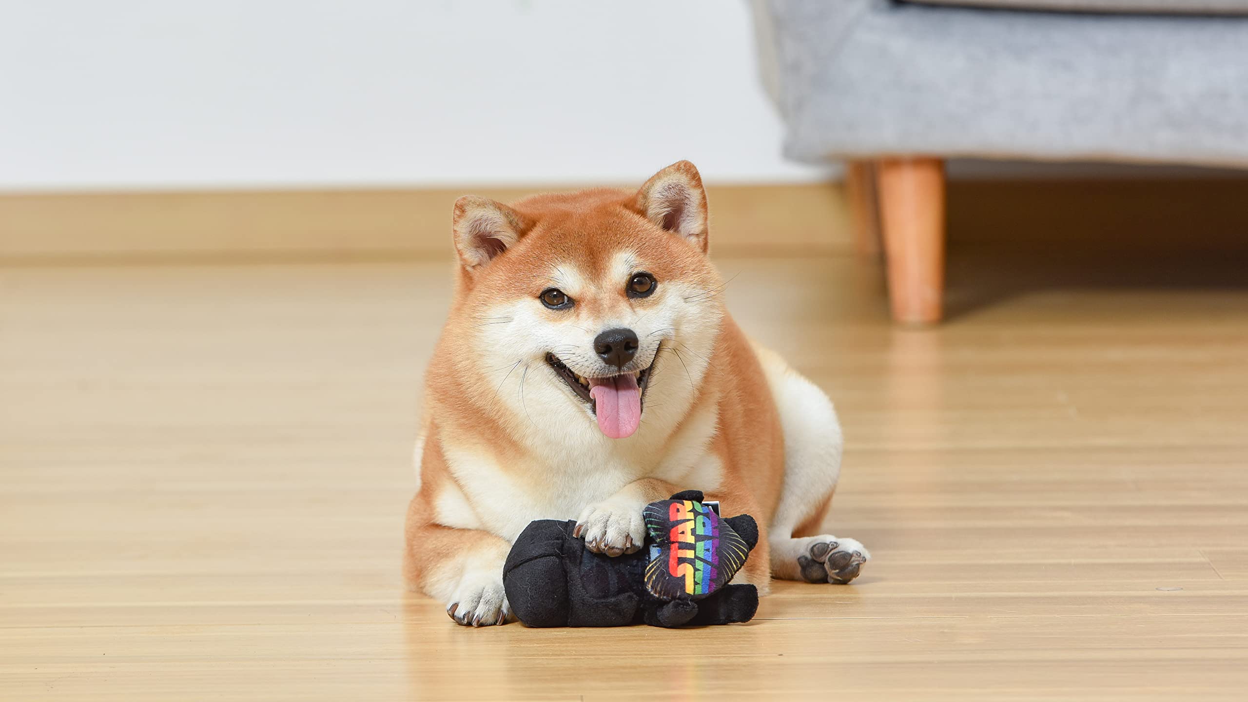 Star Wars: Pride Darth Vader Quietschspielzeug mit Quietschelement, 15.2 cm, Darth Vader Love Regenbogen-Hundespielzeug, Star Wars Geschenke für Haustiere, Regenbogen-Spielzeug für Hunde