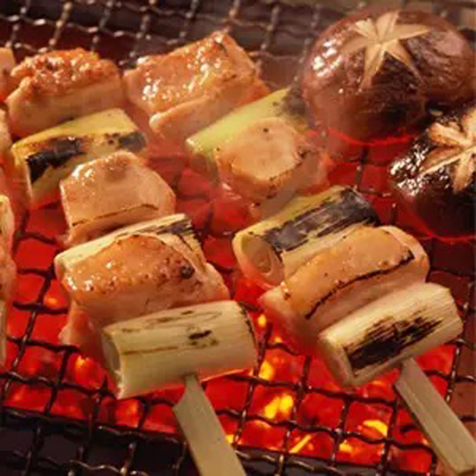 Amazon.co.jp: 焼き網 ステンレス製 四角形焼き網 業務用強化版（φ1