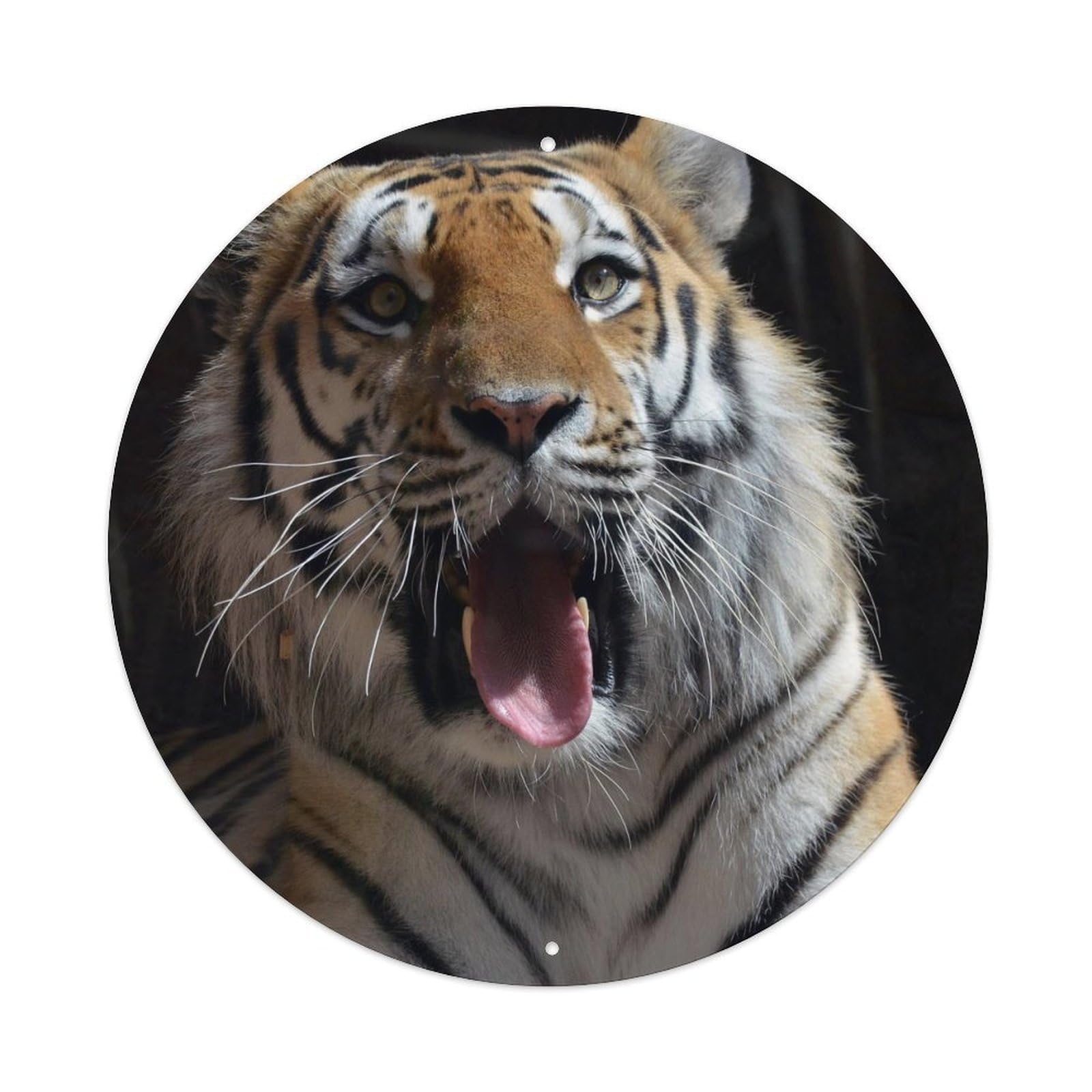 Animal Cute Tiger Vintage Metal Tin Sign Plaque Wall Decor for Cafe, Club, Garden Round Metal Poster 8x8Inch